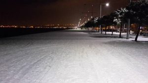 15972601_1281715258558225_9160230276614742756_o