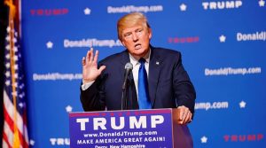 96002acf4c0957ce994220de89de895e_XL