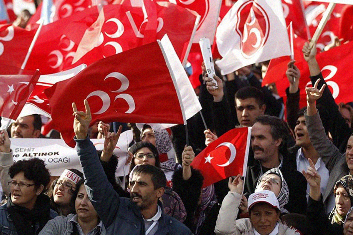 terrapapers.com_gray wolves turkey (4)