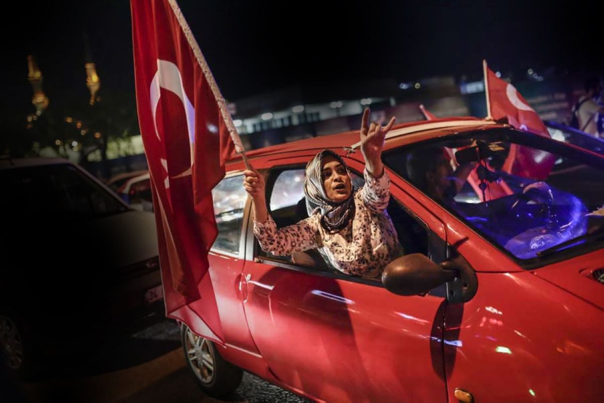 terrapapers.com_gray wolves turkey (5)