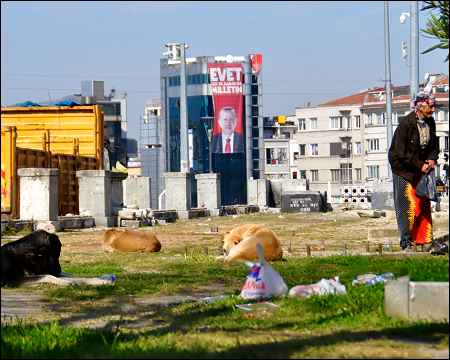 Sleeping with dogs in Gezi Park, Istanbul