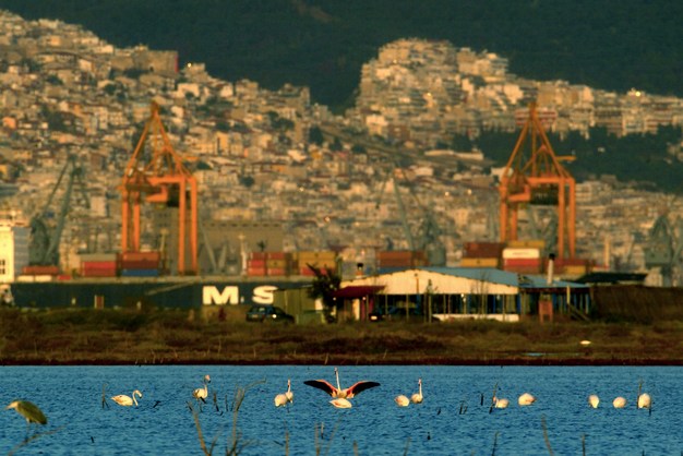 04022018-2.jpg 04022018-2.jpg