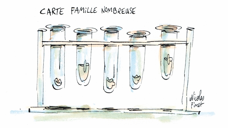 ΓΑΛΛΙΑ: Παιδιά από δυο μάνες!!! : Ανιχνεύσεις