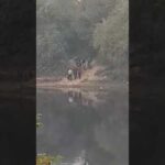 Τούρκοι στρατιώτες έψαχναν περάσματα στον Έβρο 