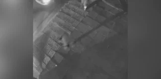 «Σβήσε το όχημα, τα χέρια στο ταμπλό»: Η στιγμή της σύλληψης του γιου Κατρίνη στο Χαλάνδρι