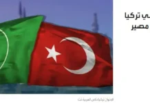 Εκτεταμένες συλλήψεις στην Τουρκία μελών της Αιγυπτιακής Μουσουλμανικής Αδελφότητας