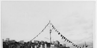 Η αποστολή του αμερικανικού Ναυτικού στα τουρκικά ύδατα, 1919–1924
