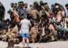 «Βουλιάζει» η Γαύδος από τους μετανάστες: Προβληματισμοί κατοίκων για τις συνεχείς αφίξεις