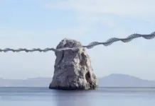 Η βιολογία μπορεί να μην είναι κβαντική, αλλά τα μαθηματικά της μοιάζουν με τα κβαντικά
