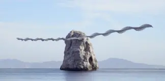 Η βιολογία μπορεί να μην είναι κβαντική, αλλά τα μαθηματικά της μοιάζουν με τα κβαντικά
